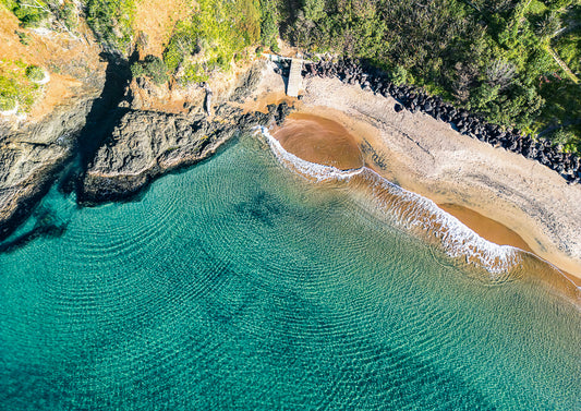 Fish Spotting, Tutukaka