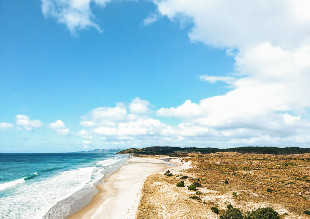 Walk It Off, Te Arai