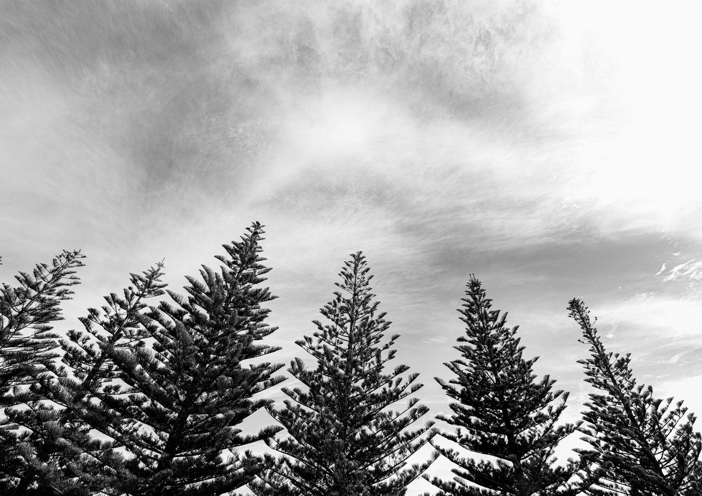 Line Up, Omaha (B+W)