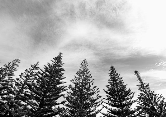 Line Up, Omaha (B+W)