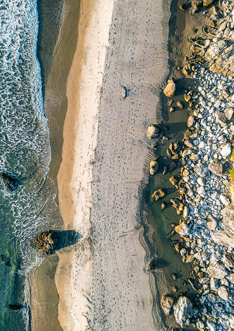 Conditioned, Mangawhai