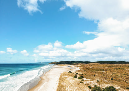 Walk It Off, Te Arai