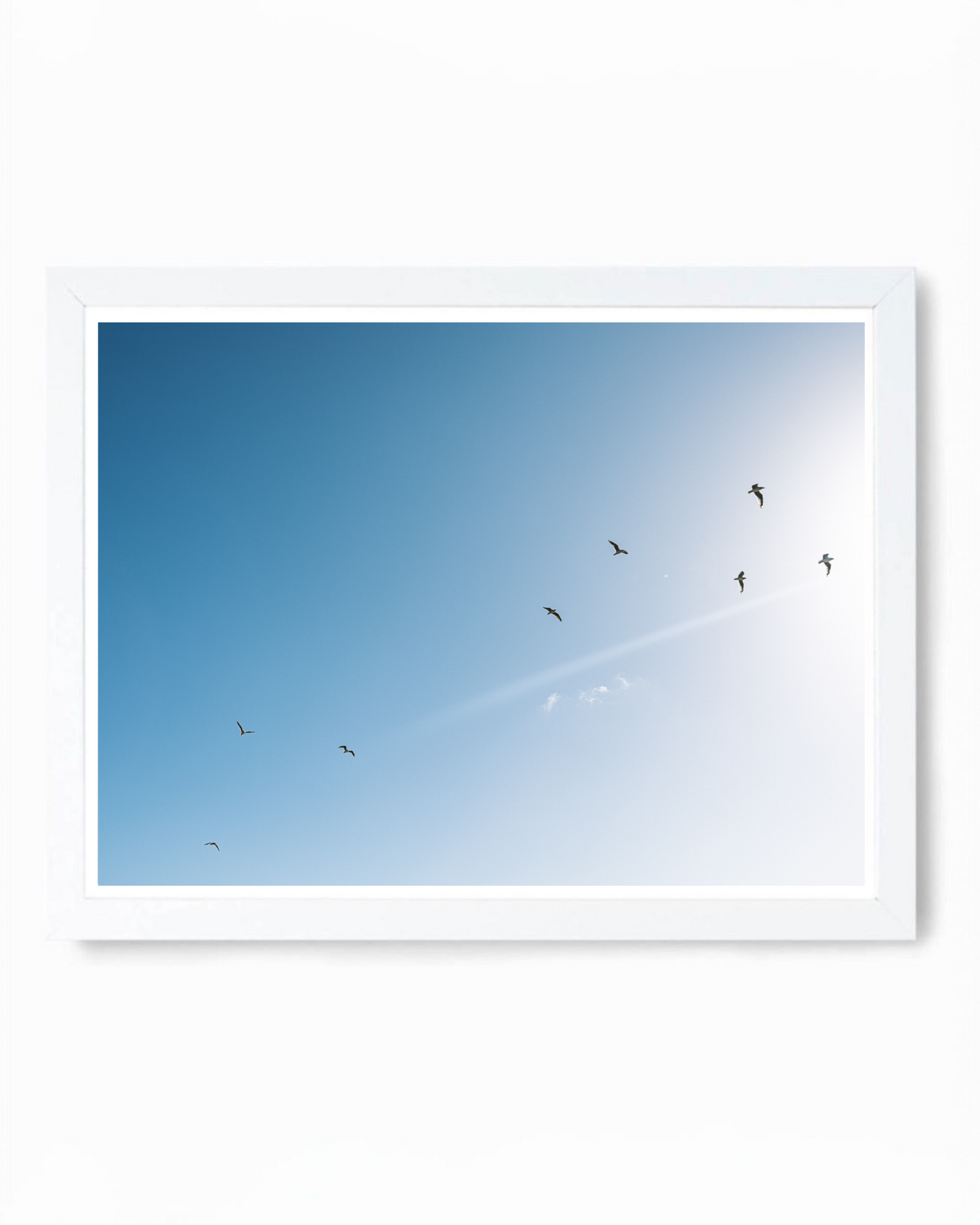 Gull Gang, Lang's Beach