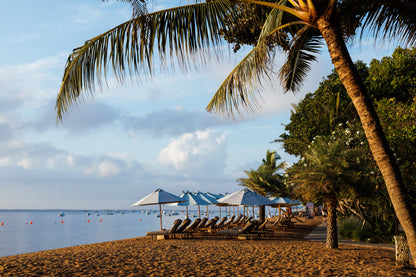 Bad day to be a Bintang, Bali