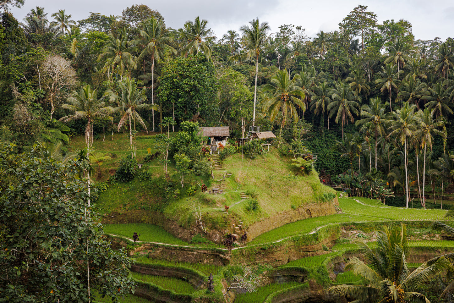 Paddy’s and Baddies, Bali