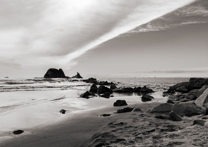 Seasoned, Mangawhai (B+W)