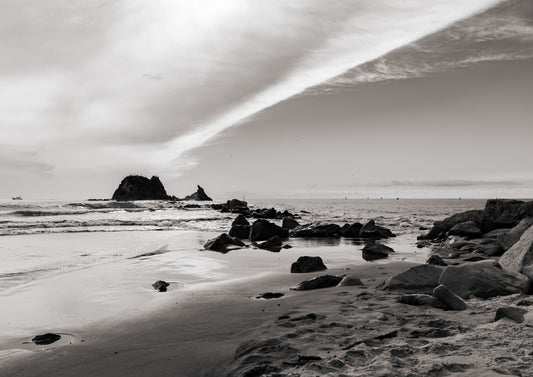 Seasoned, Mangawhai (B+W)