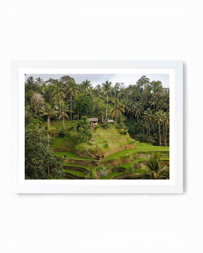 Paddy’s and Baddies, Bali