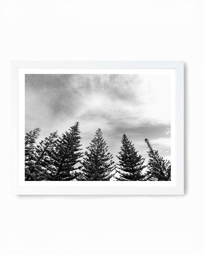 Line Up, Omaha (B+W)