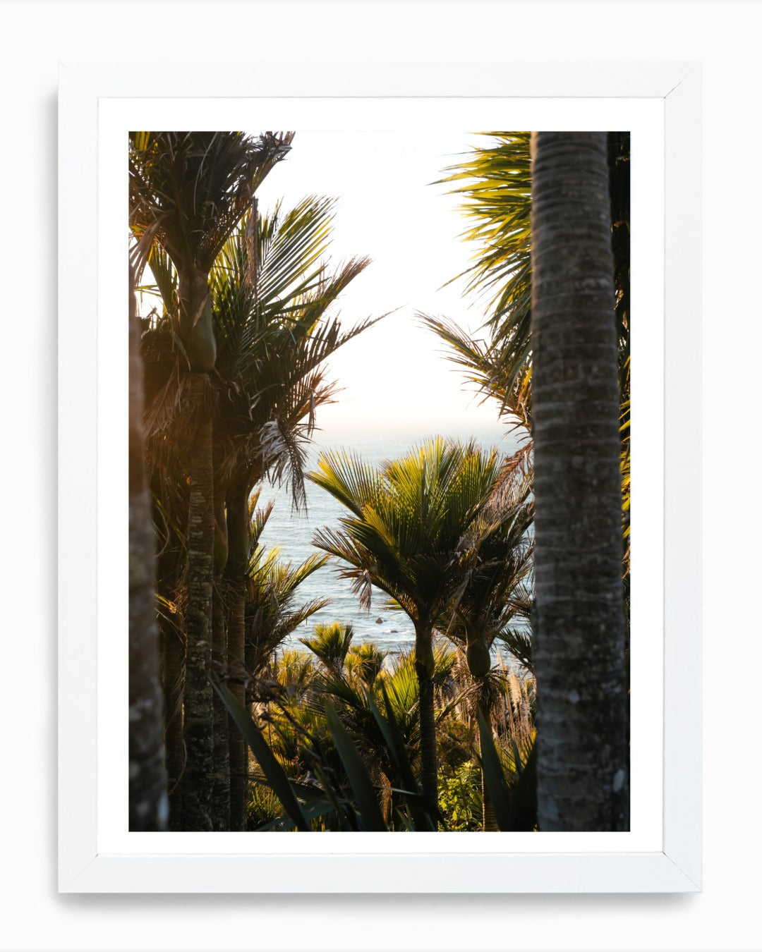 Face Palm, Mangawhai