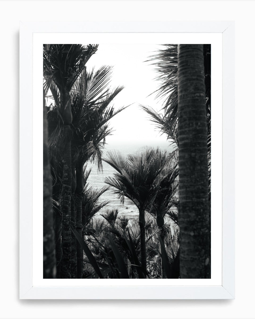 Face Palm, Mangawhai (B+W)