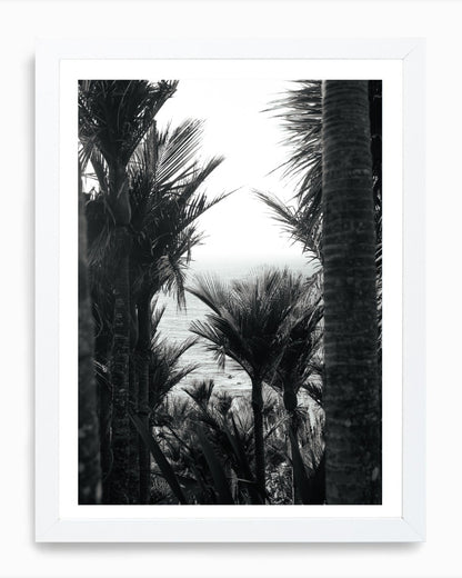 Face Palm, Mangawhai (B+W)