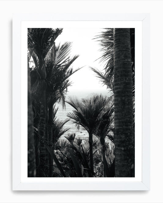 Face Palm, Mangawhai (B+W)