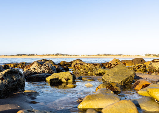 'Hold On', Mangawhai Heads