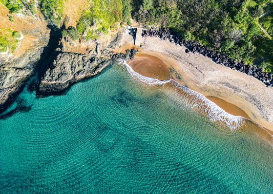 Fish Spotting, Tutukaka