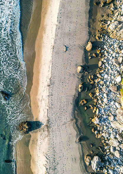 Conditioned, Mangawhai