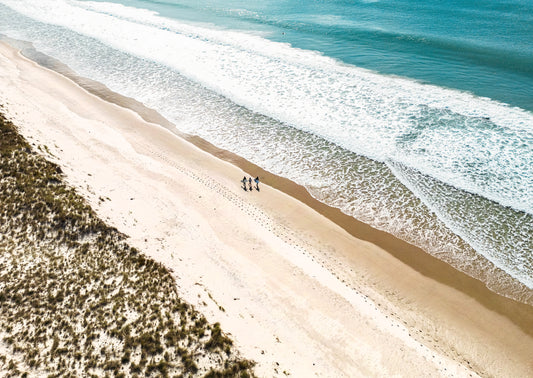 Surf's Up! Te Arai